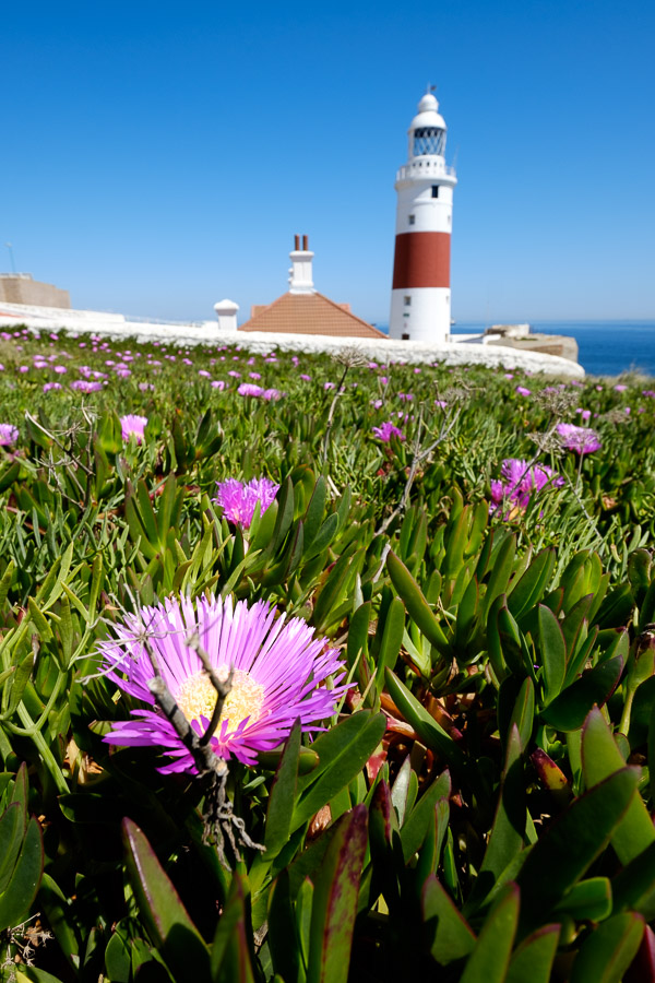 Lighthouse at Gibraltar