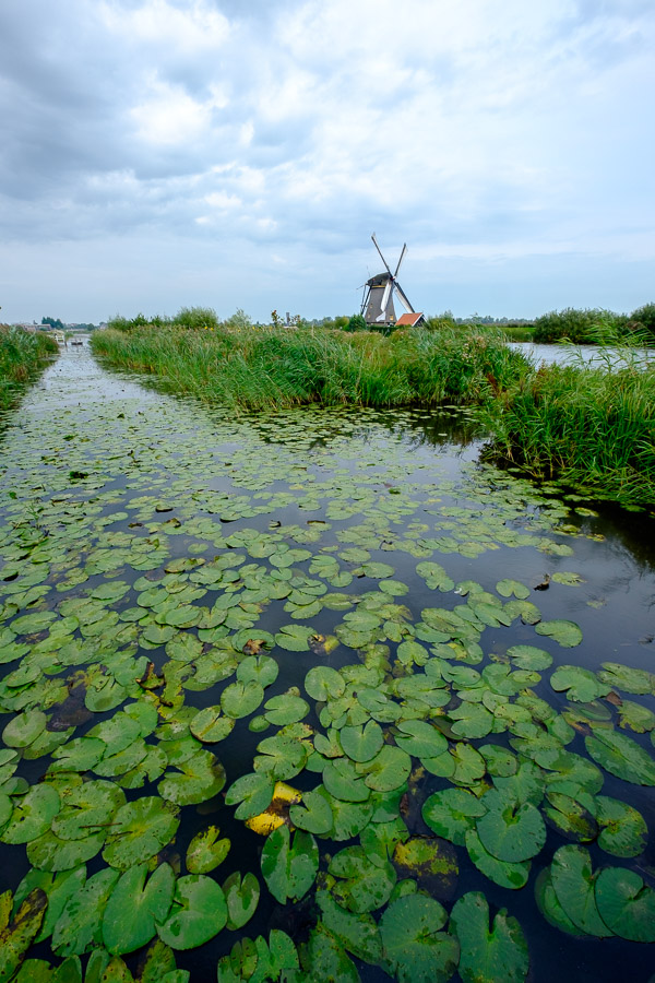 Windmill