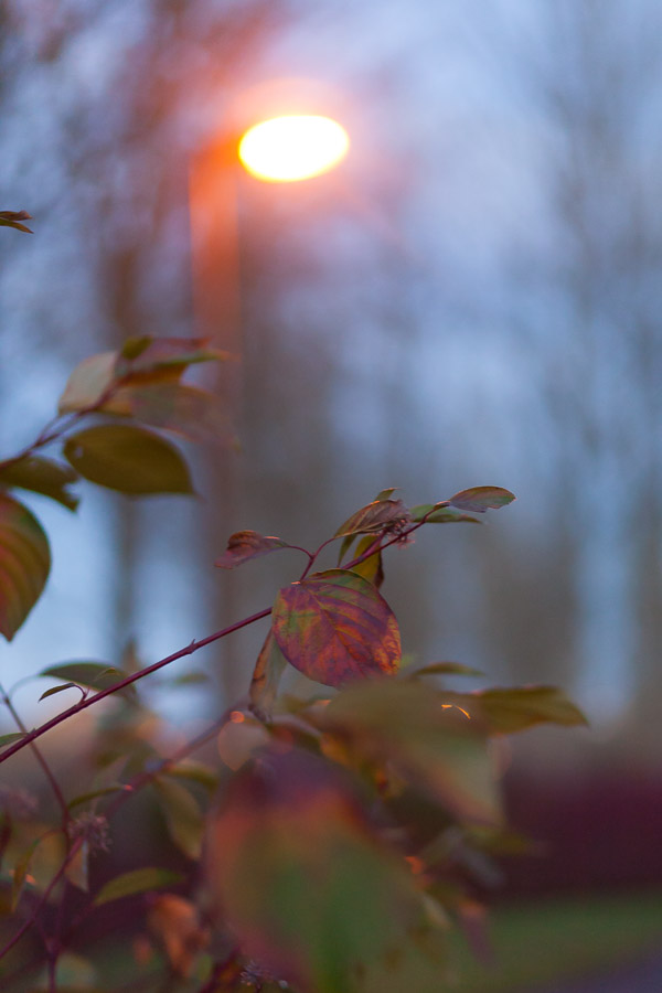 Under the street lamp