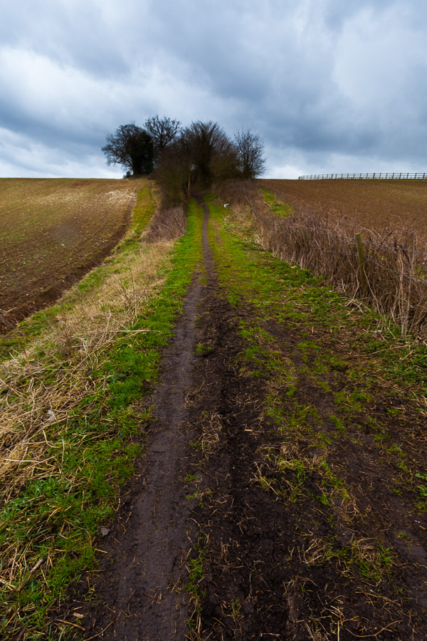 Lonely road